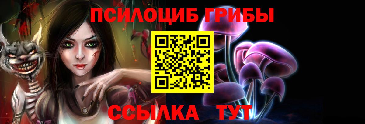 Сочи  купить  сайты  Вход с VPN  Псилоцибиновые грибы мицелий 